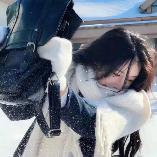 狸猫书生2